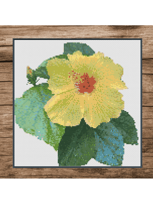 Yellow Hibiscus